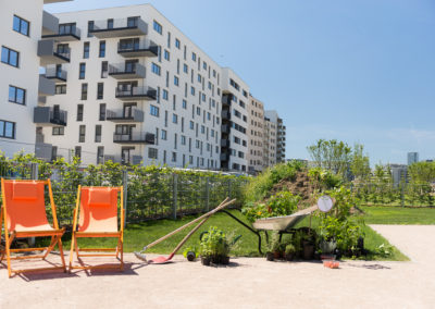 Helmut-Zilk-Park mit Sonnwendgarten eröffnet