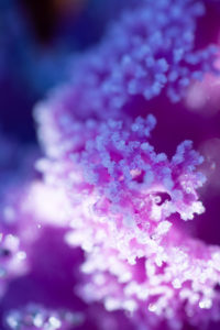 Wintergärtnern im Sonnwendgarten