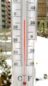 Wintergärtnern im Sonnwendgarten