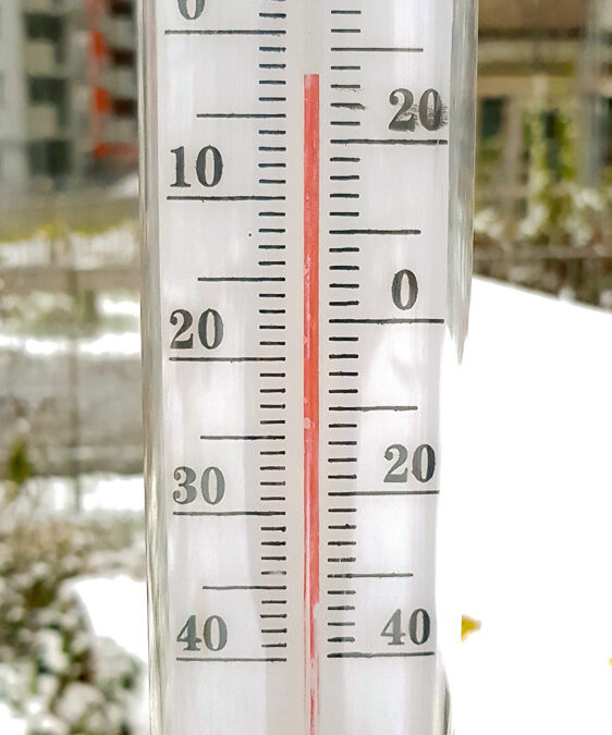 Wintergärtnern im Sonnwendgarten
